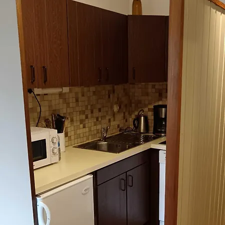 Grepon Gp6 Center & Mounatin 6 Pers Apartment *